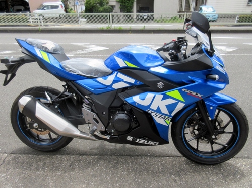 19GSX250R%20SP1%20%28800x599%29.jpg