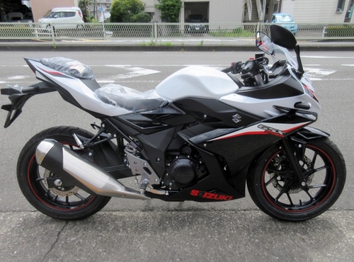 19GSX250R%20W1%20%28800x593%29.jpg