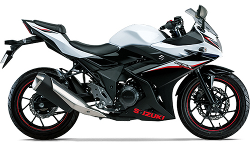 19GSX250R%20W1.jpg